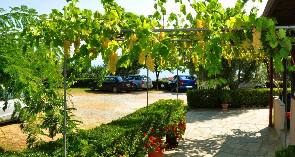 Aris Pension Agia Paraskevi  Ngoại thất bức ảnh